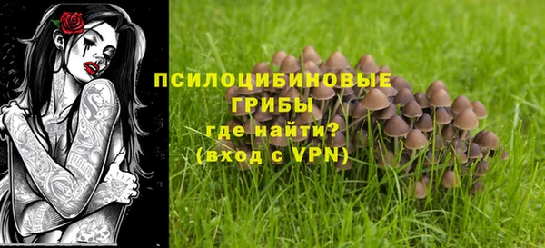 гашик Баксан