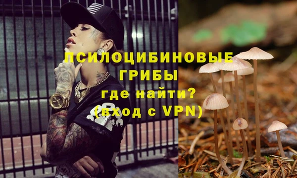 марки lsd Балахна
